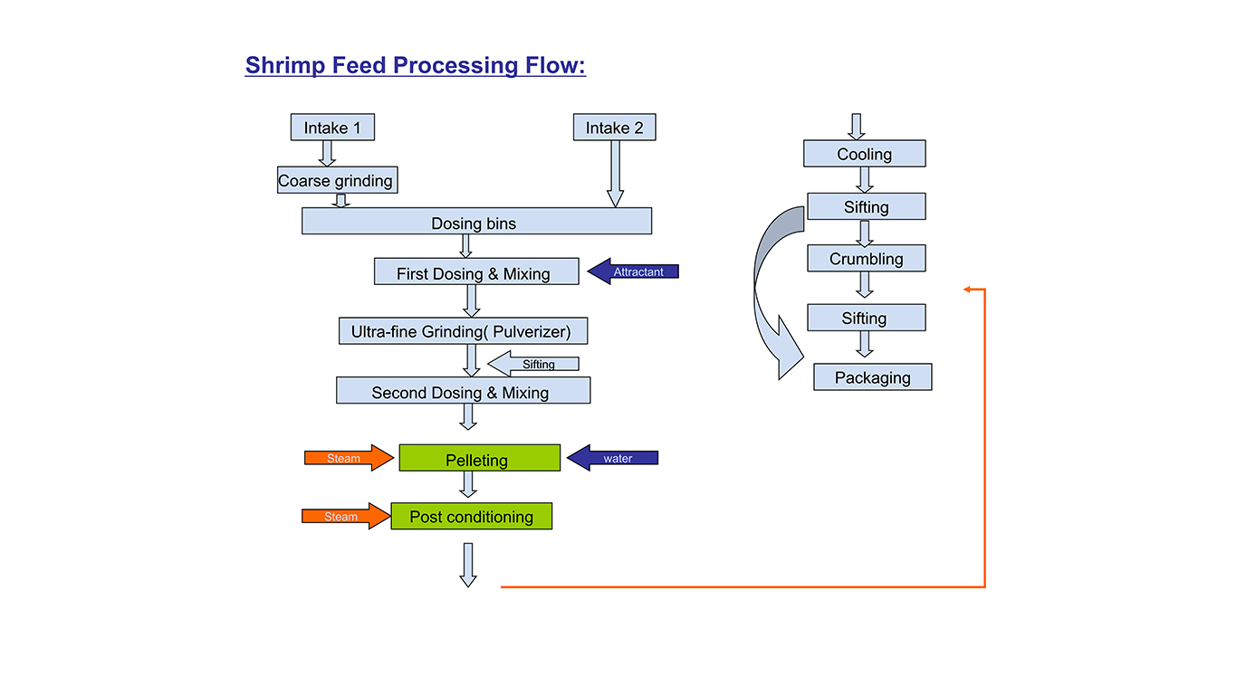 虾饲料加工简图.jpg